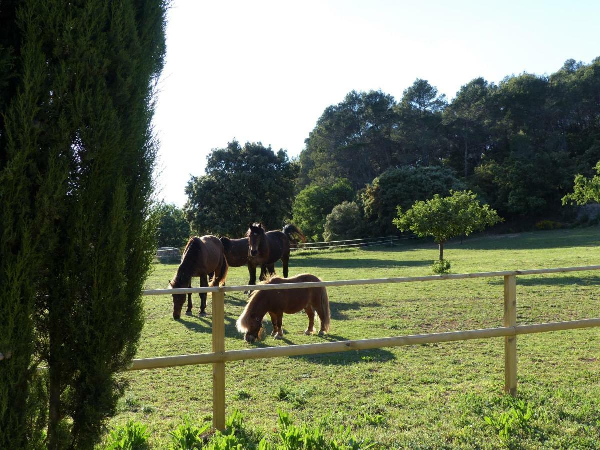 Domaine Des Bruguieres Villa Entrecasteaux Exteriör bild